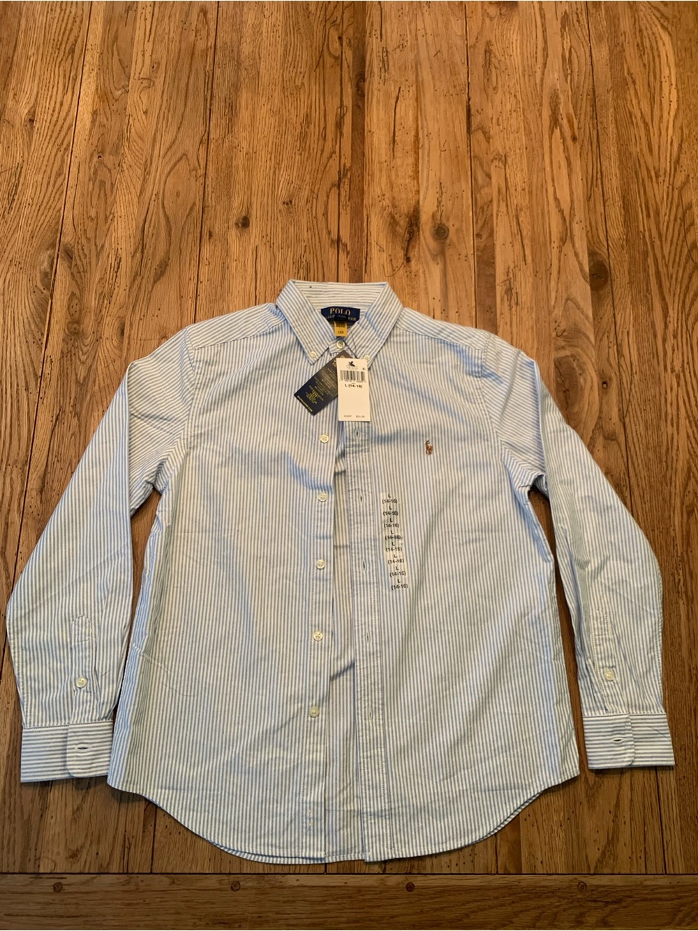 Polo by Ralph Lauren Blue and White Pinstripe Button-Down Shirt